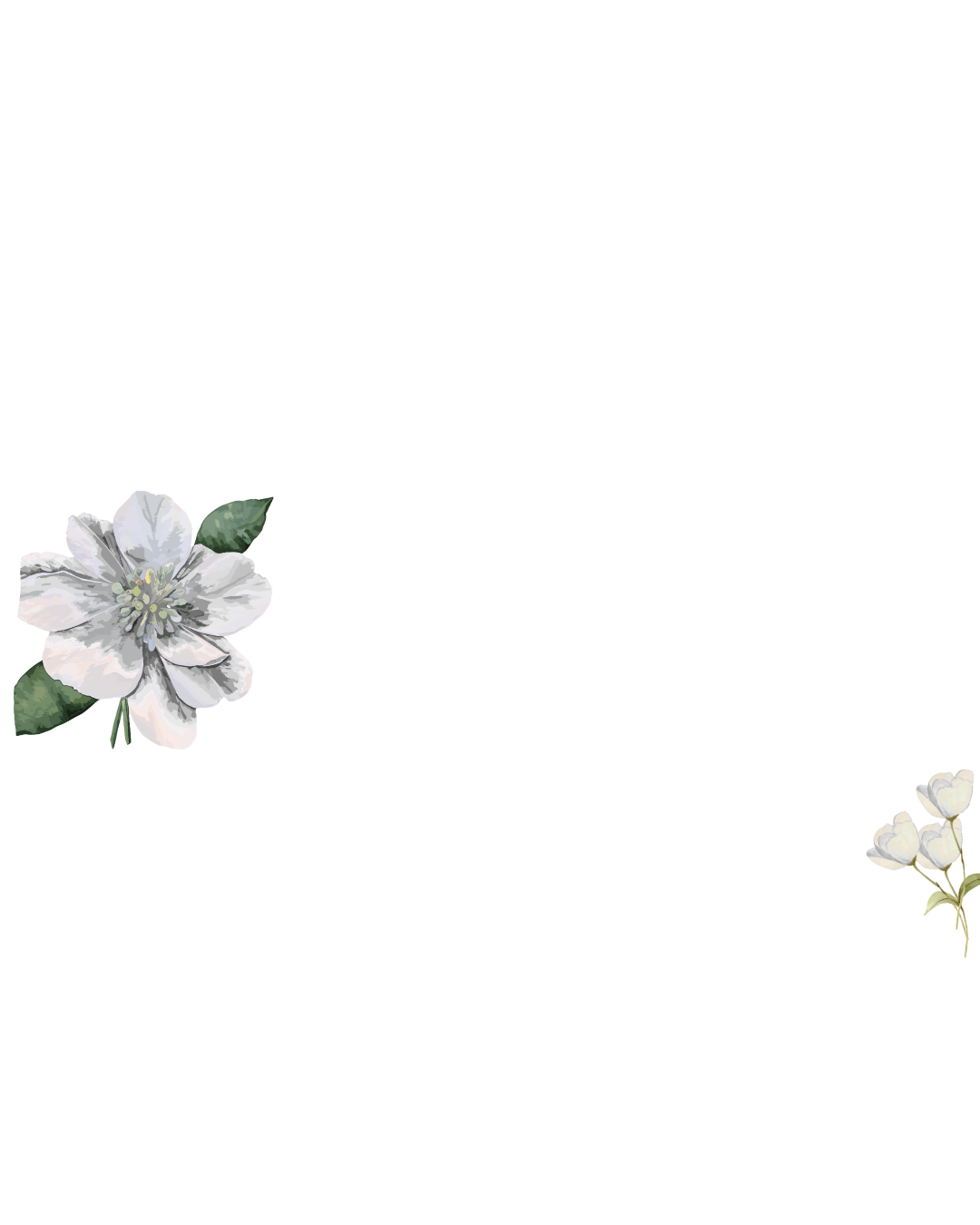 Flores